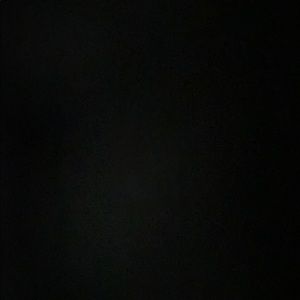 Meet your Posher, Tae